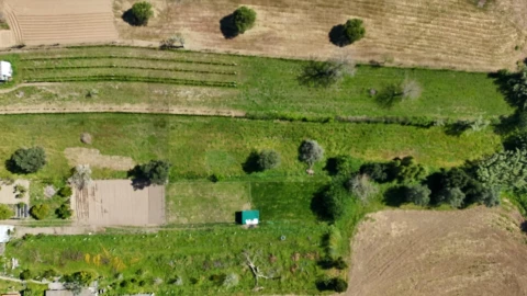 Terreno para Venda em Santa Clara e Castelo Viegas