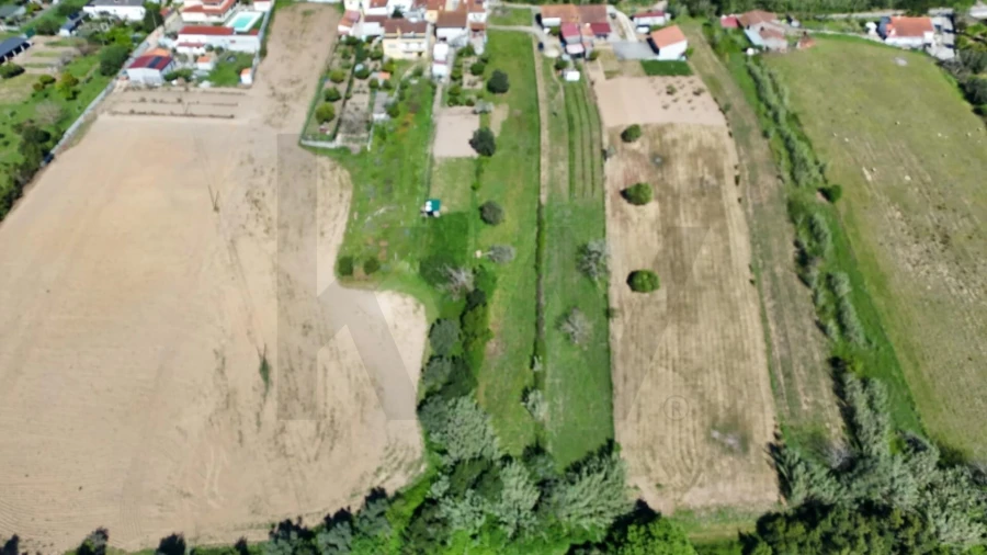 Terreno para Venda em Santa Clara e Castelo Viegas Foto 6