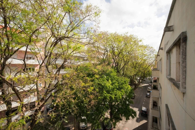 Apartamento T3 para Venda em Avenidas Novas Foto 37