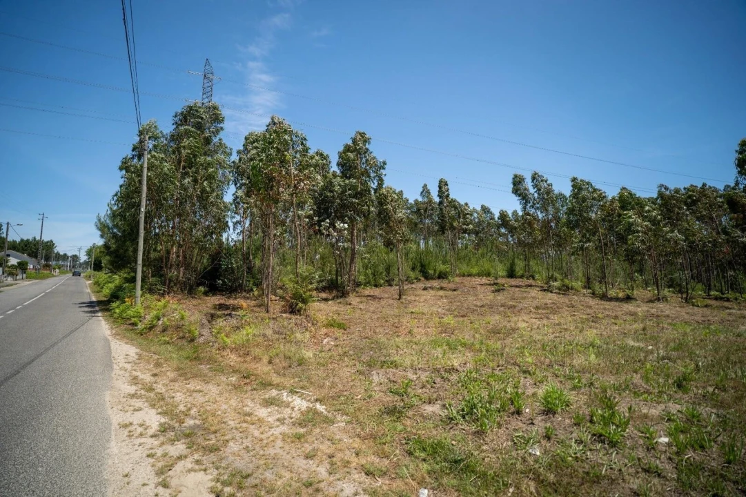 Terreno para Venda em Leiria, Pousos, Barreira e Cortes Foto 6