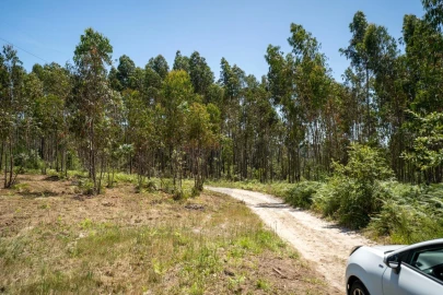 Terreno para Venda em Leiria, Pousos, Barreira e Cortes