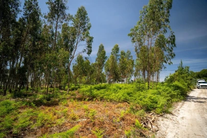 Terreno para Venda em Leiria, Pousos, Barreira e Cortes
