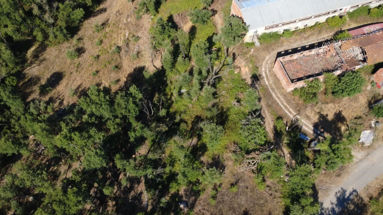 Terreno para Venda em Santiago da Guarda Foto 3