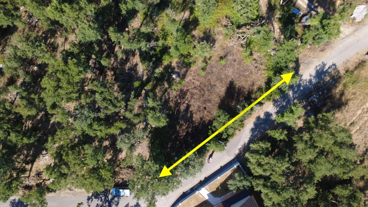 Terreno para Venda em Santiago da Guarda Foto 1