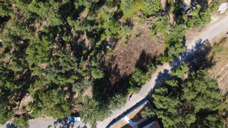 Terreno para Venda em Santiago da Guarda Foto 4