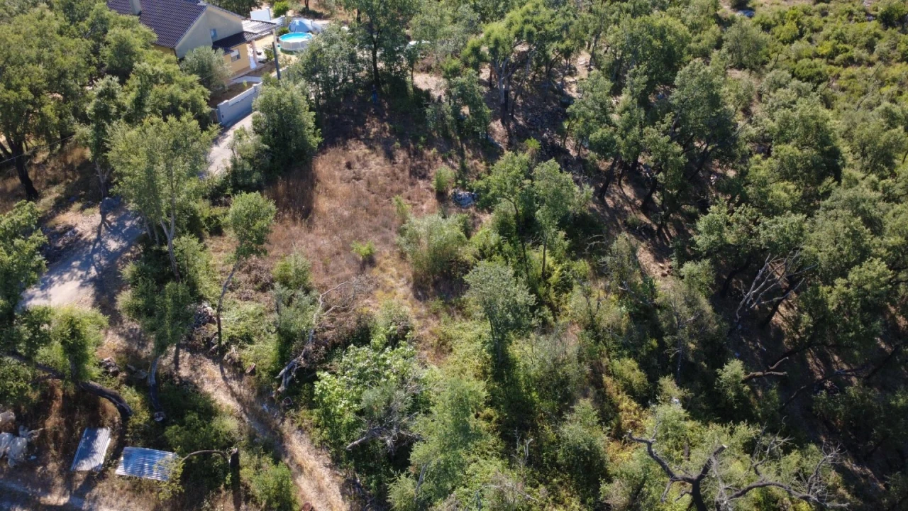 Terreno para Venda em Santiago da Guarda Foto 5