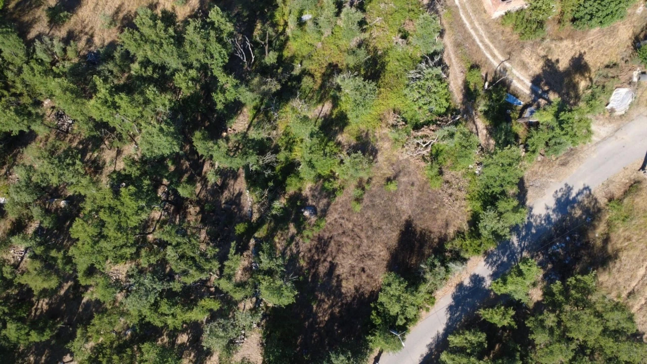 Terreno para Venda em Santiago da Guarda Foto 2