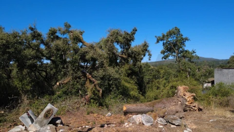 Terreno para Venda em Santiago da Guarda