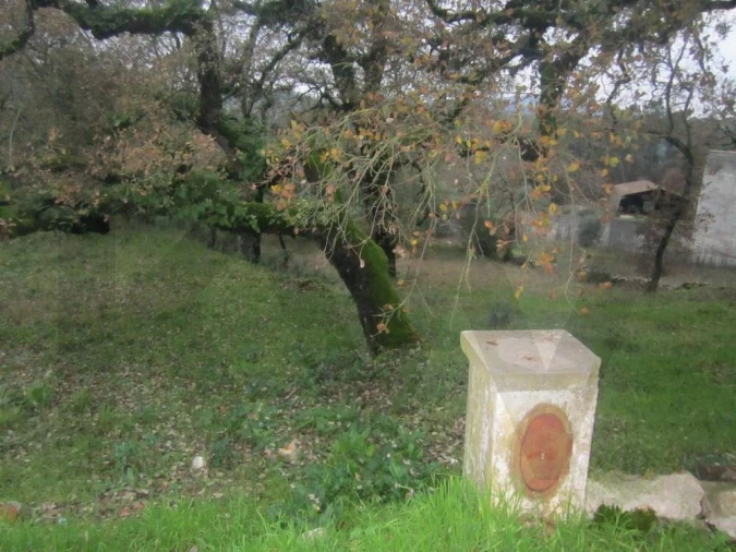 Terreno para Venda em Santiago da Guarda Foto 2