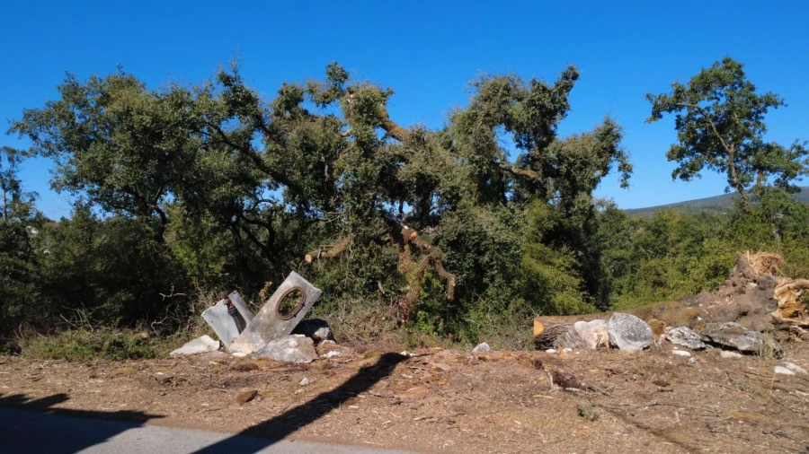 Terreno para Venda em Santiago da Guarda Foto 3