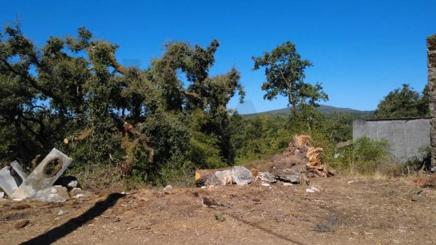 Terreno para Venda em Santiago da Guarda Foto 4
