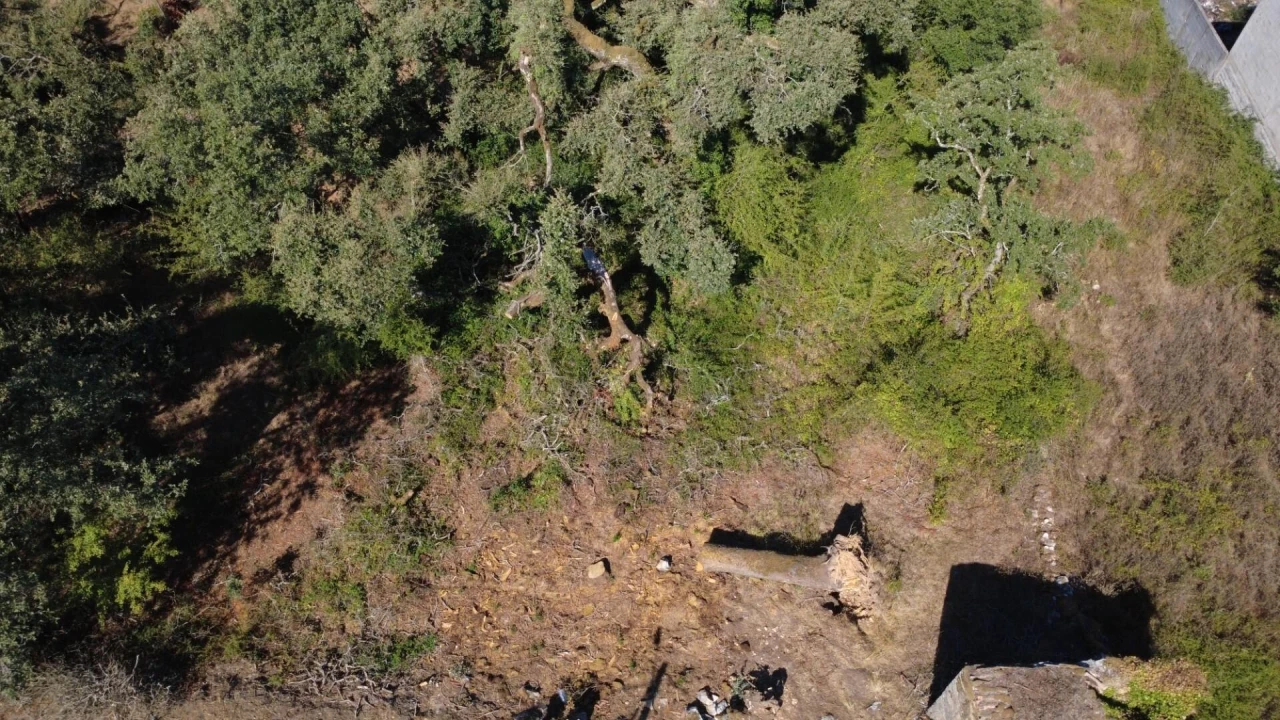 Terreno para Venda em Santiago da Guarda Foto 8