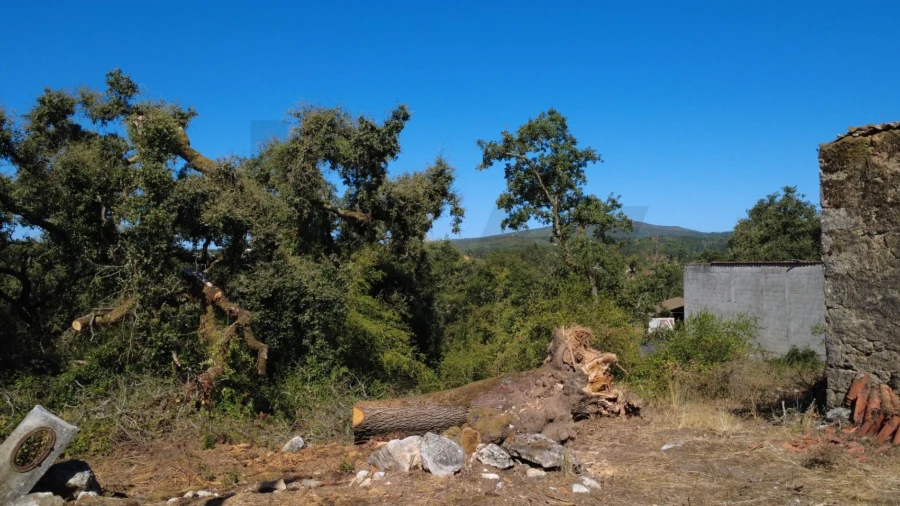 Terreno para Venda em Santiago da Guarda