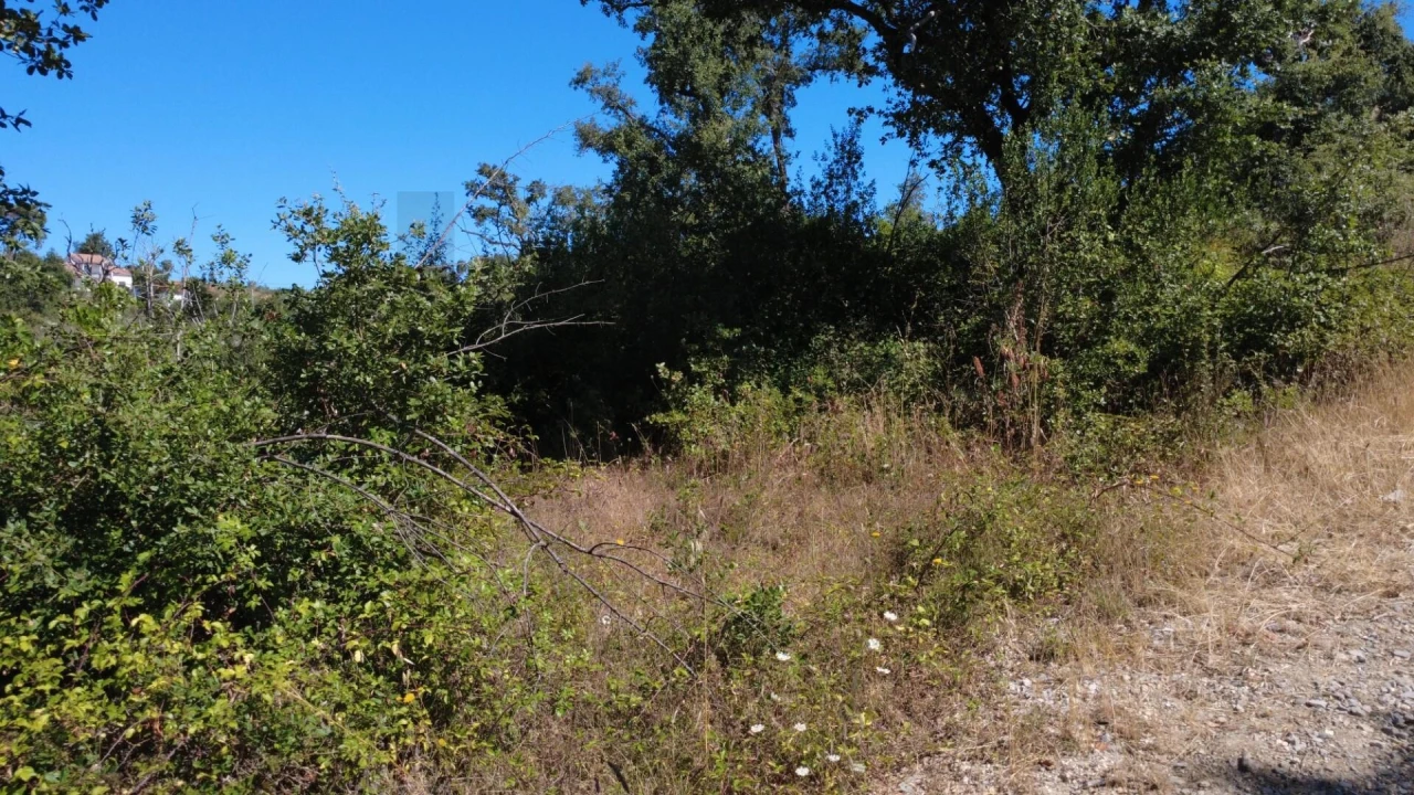 Terreno para Venda em Santiago da Guarda Foto 8
