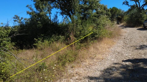 Terreno para Venda em Santiago da Guarda