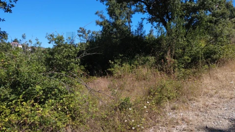 Terreno para Venda em Santiago da Guarda