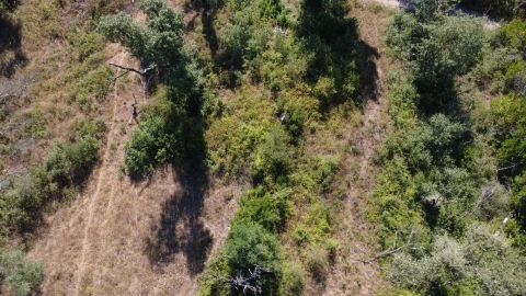 Terreno para Venda em Santiago da Guarda
