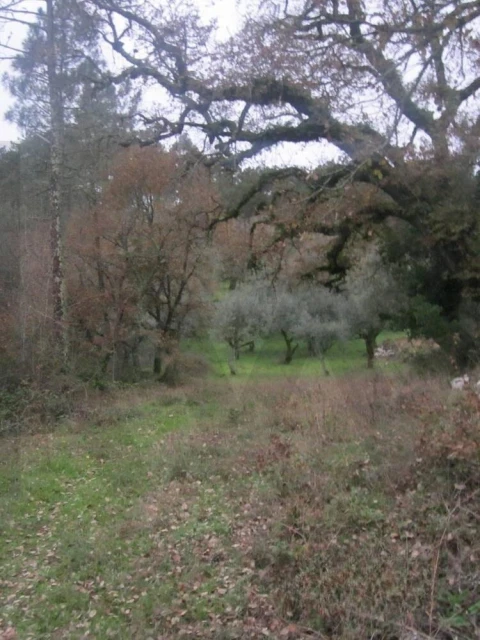 Terreno para Venda em Santiago da Guarda