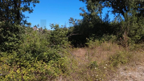 Terreno para Venda em Santiago da Guarda