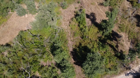 Terreno para Venda em Santiago da Guarda