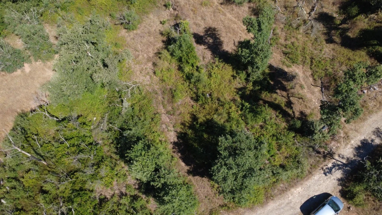 Terreno para Venda em Santiago da Guarda Foto 2