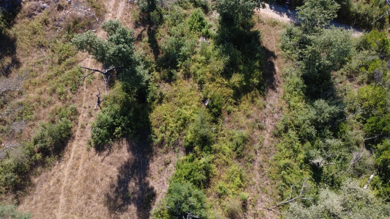Terreno para Venda em Santiago da Guarda Foto 6