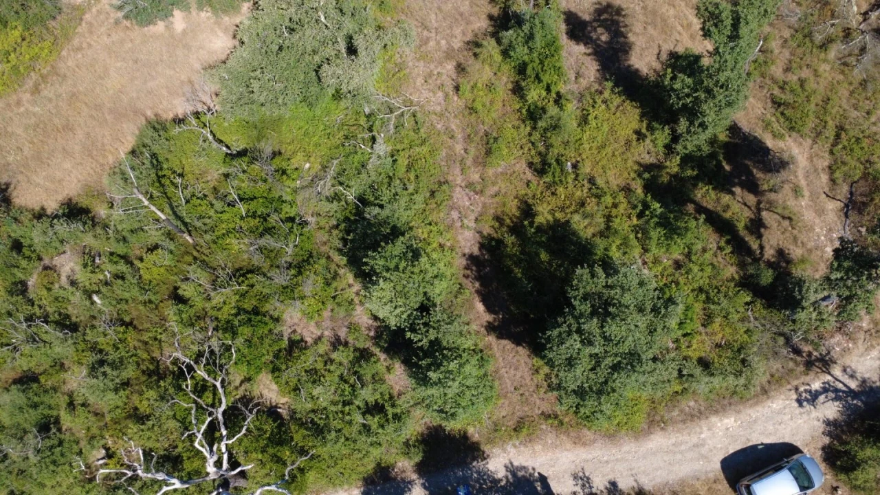 Terreno para Venda em Santiago da Guarda Foto 5
