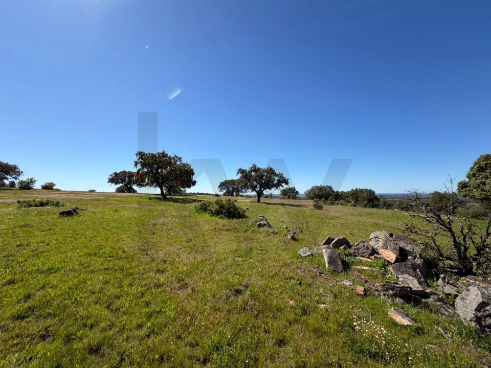 Terreno para Venda em Alcaçovas Foto 5