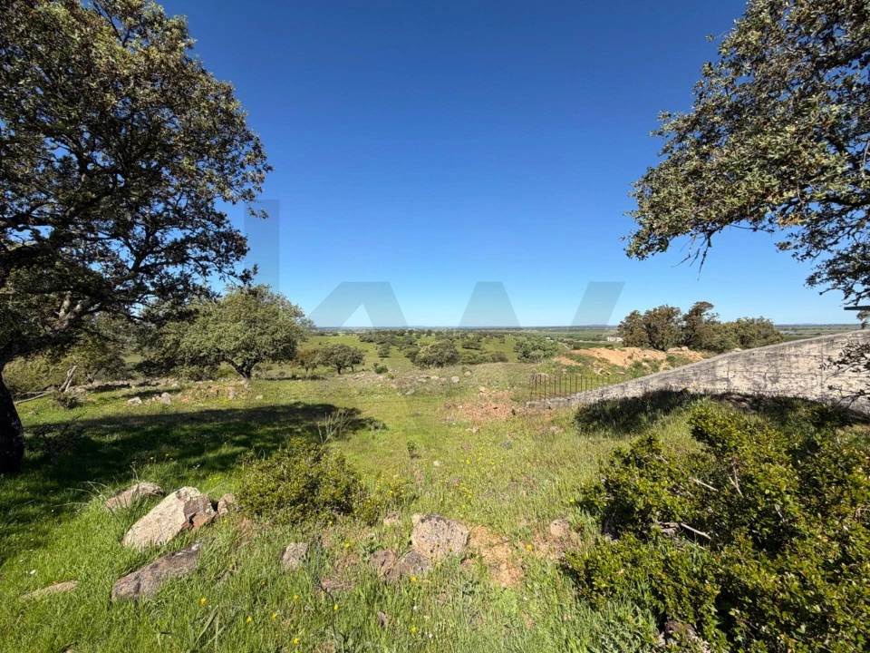 Terreno para Venda em Alcaçovas Foto 1