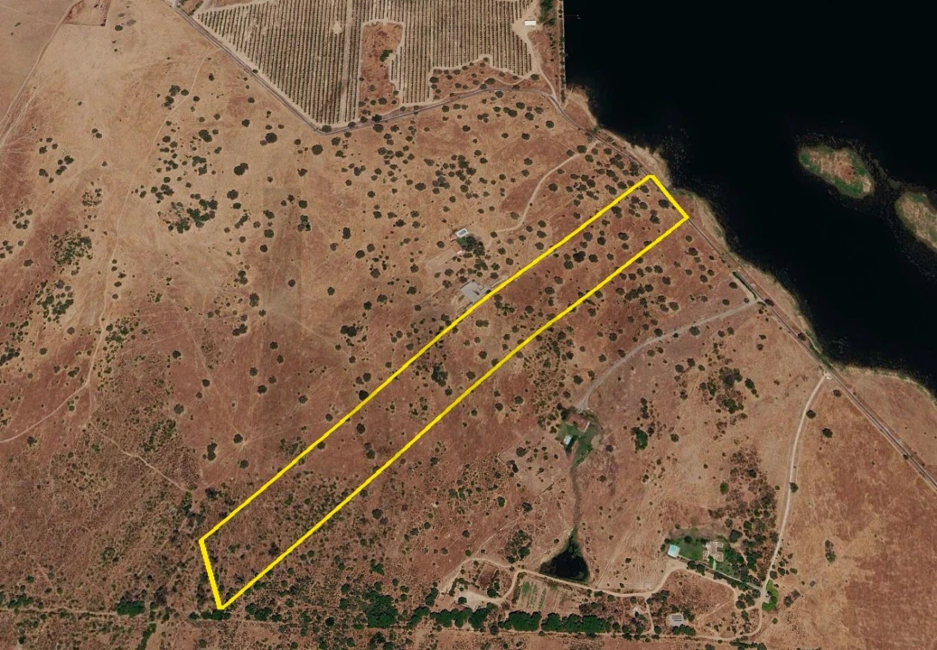 Terreno para Venda em Alcaçovas Foto 8