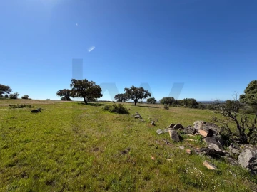 Terreno para Venda em Alcaçovas