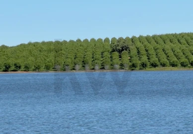 Terreno para Venda em Alcaçovas
