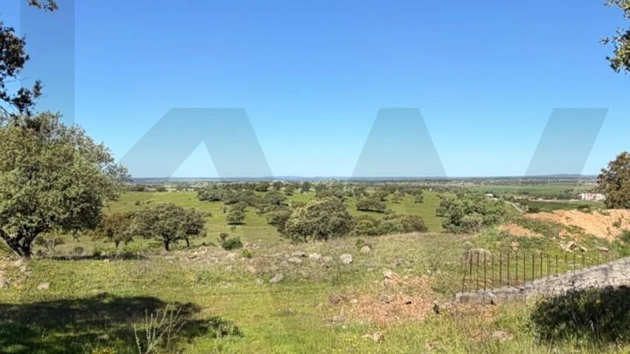 Terreno para Venda em Alcaçovas