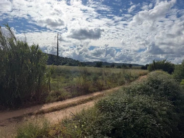 Terreno para Venda em Odiaxere