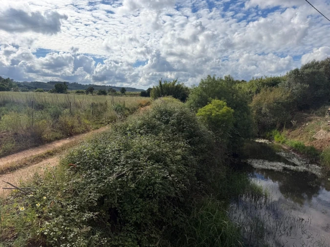 Terreno para Venda em Odiaxere Foto 5