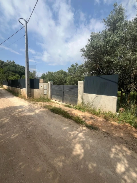 Terreno para Venda em Boliqueime