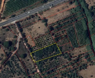 Terreno para Venda em Boliqueime
