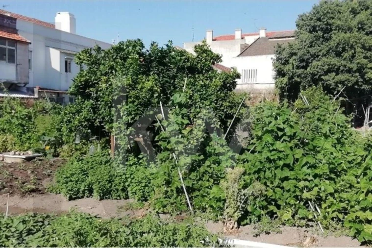 Terreno para Venda em União das Freguesias de Setúbal Foto 8