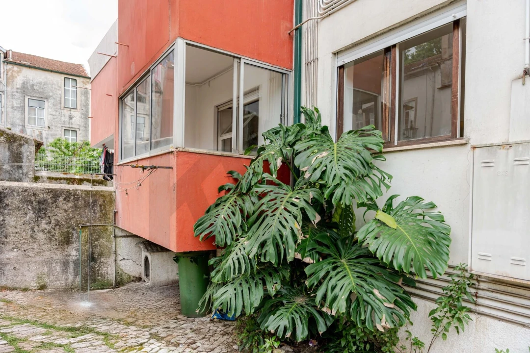 Apartamento T4 para Venda em São Martinho do Bispo e Ribeira de Frades Foto 6