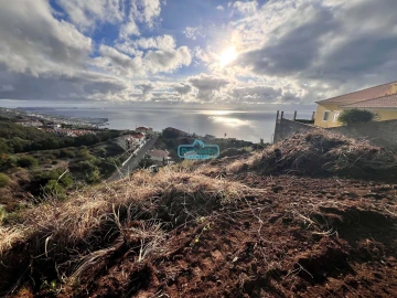 Terreno para Venda em Gaula