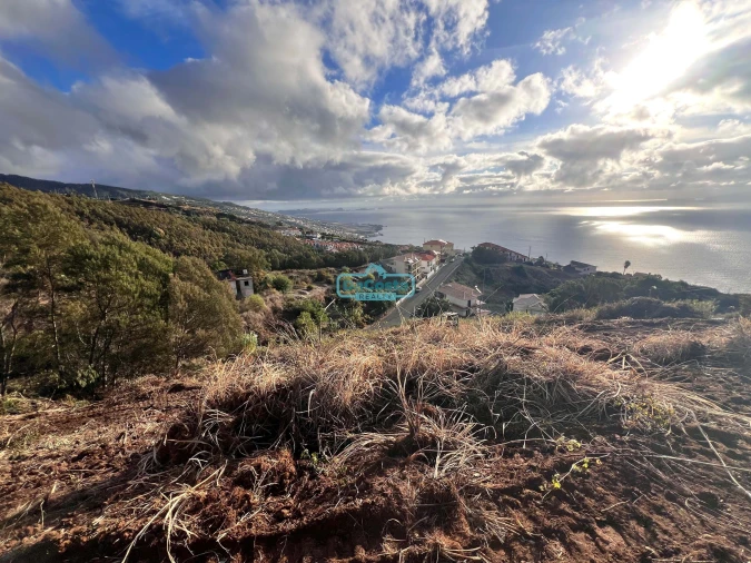 Terreno para Venda em Gaula Foto 2