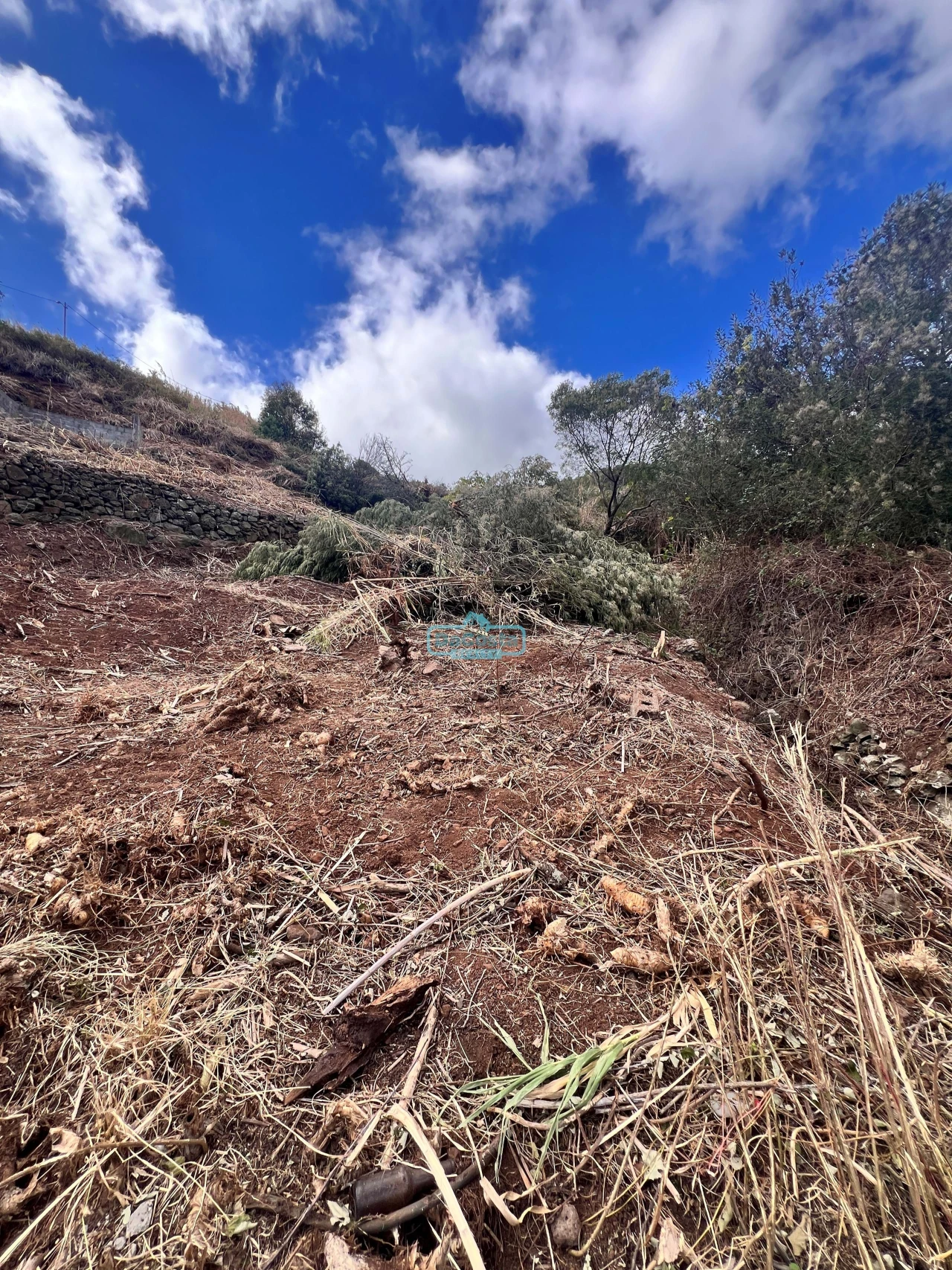 Terreno para Venda em Gaula Foto 11