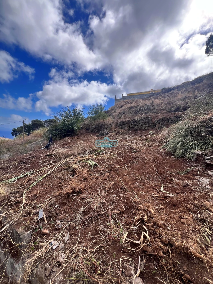 Terreno para Venda em Gaula Foto 9