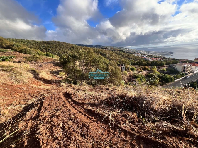 Terreno para Venda em Gaula Foto 4