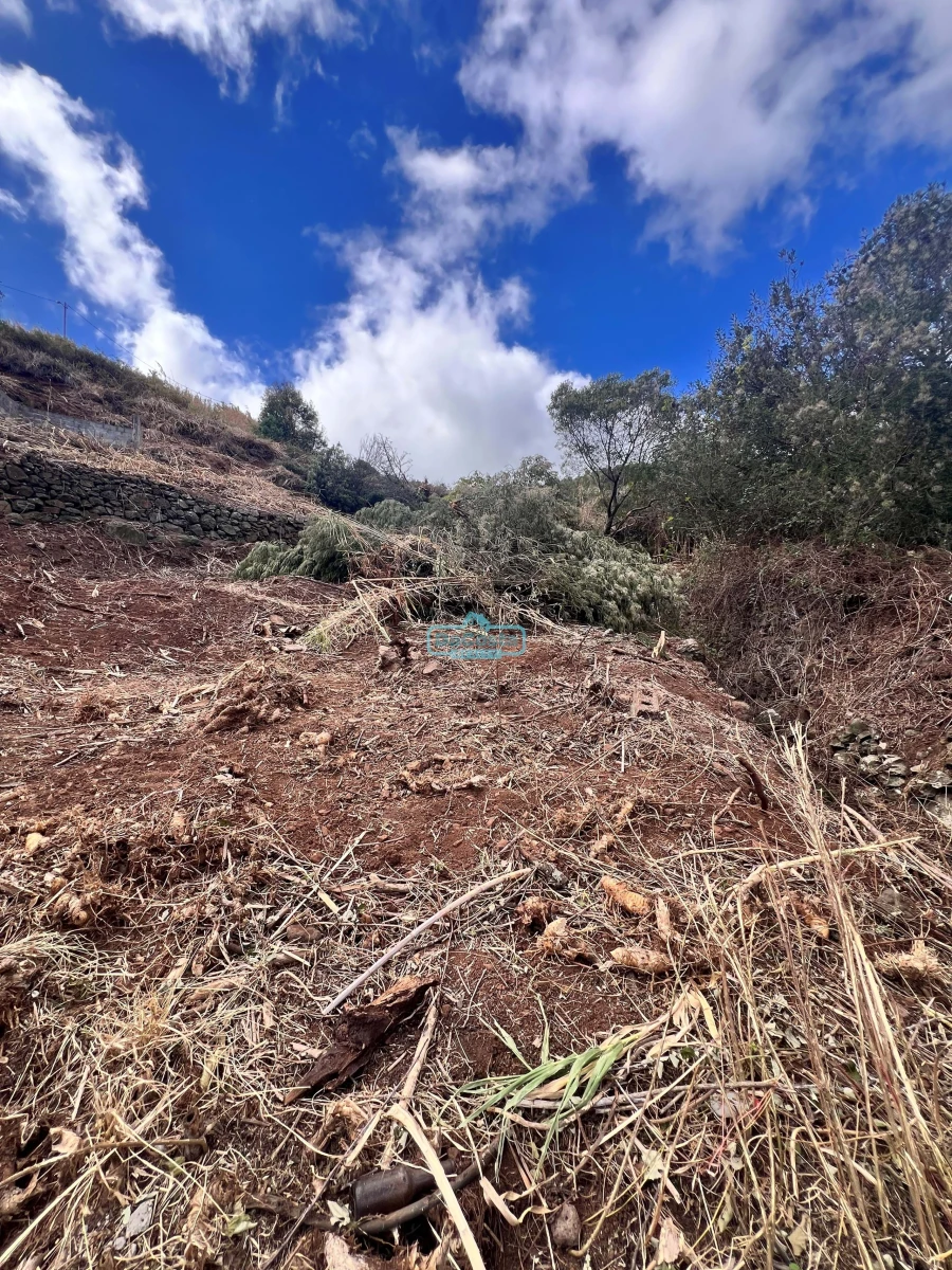 Terreno para Venda em Gaula Foto 11