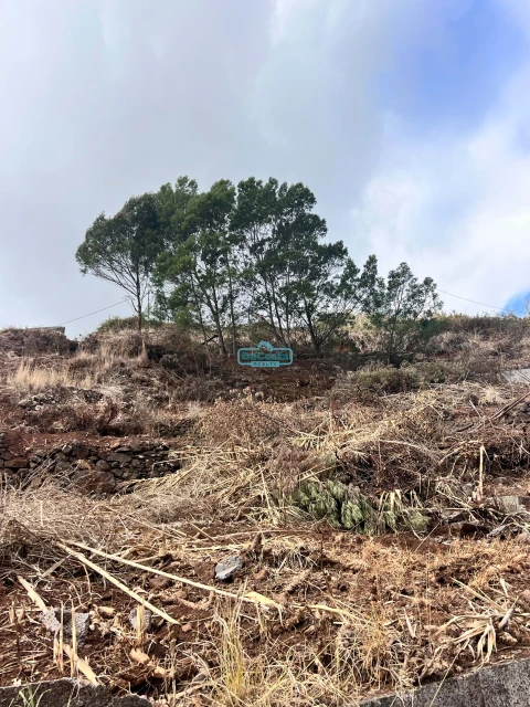 Terreno para Venda em Gaula