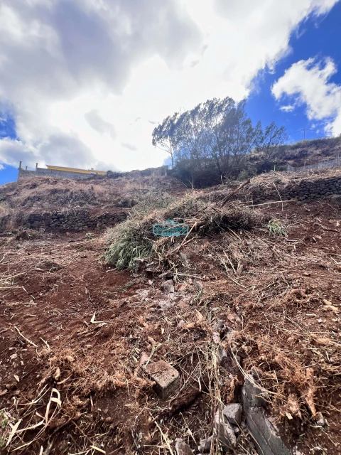 Terreno para Venda em Gaula