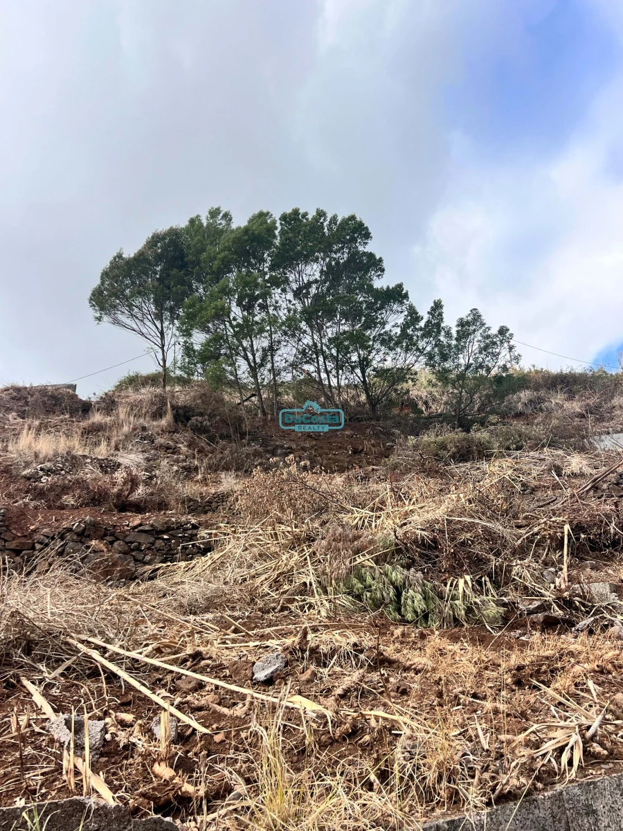 Terreno para Venda em Gaula Foto 7