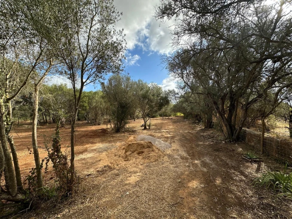 Terreno para Venda em Boliqueime Foto 5