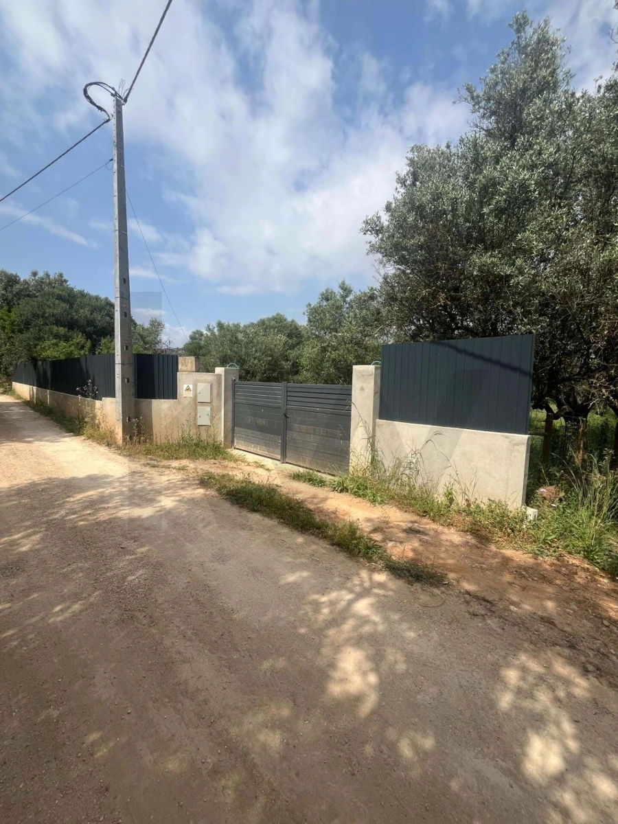 Terreno para Venda em Boliqueime